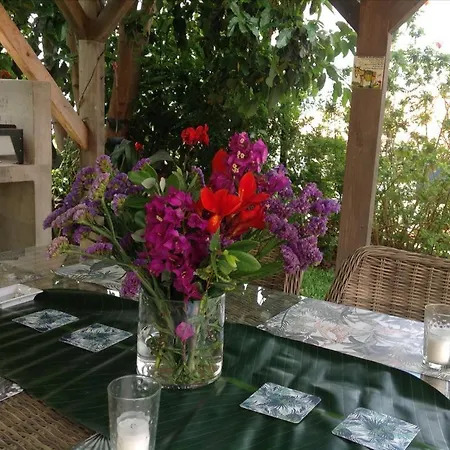 Casa Dos Gatos Calheta (Madeira)