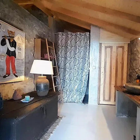 Casa Dos Gatos *